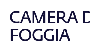 logo camera