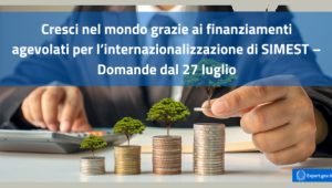 Finanziamenti agevolati