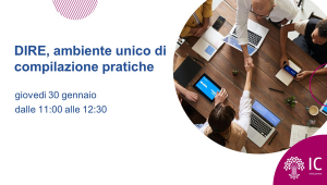 Webinar DIRE 30-01-2025