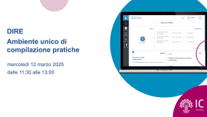 Webinar DIRE_12_03_2025