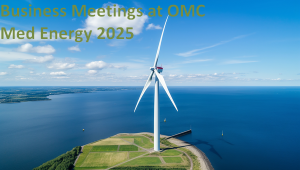 OMC_Med_Energy_2025