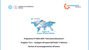 Progetto_SEI_2025