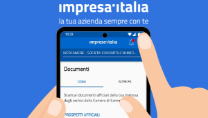 Impresa Italia App 2025