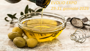 evolio_2026_manifestazione_interesse
