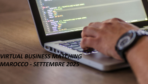 Virtual business matching Marocco