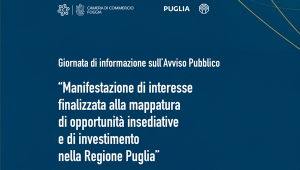 giornata informativa opportunità insediative Puglia