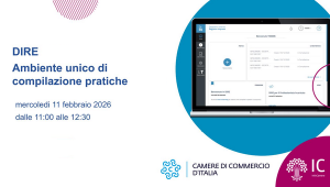 Webinar DIRE 11-02-2026